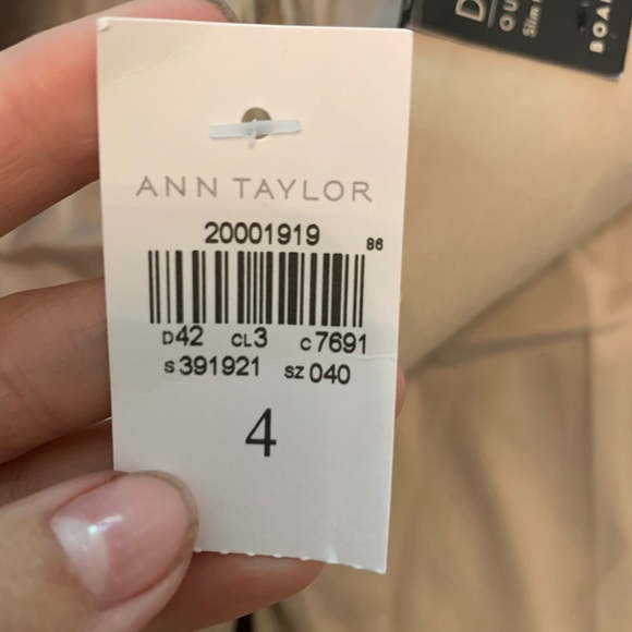 Ann Taylor Boardwalk Short - Picture 4 of 4